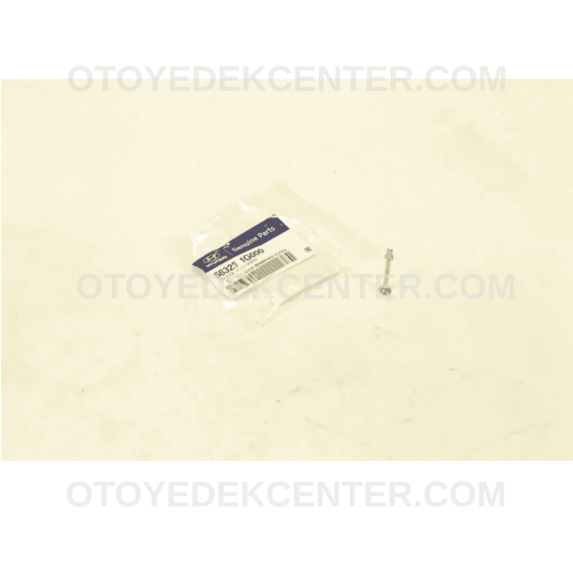 ARKA KAMPANA FREN TABLA PİMİ | 583231-G000